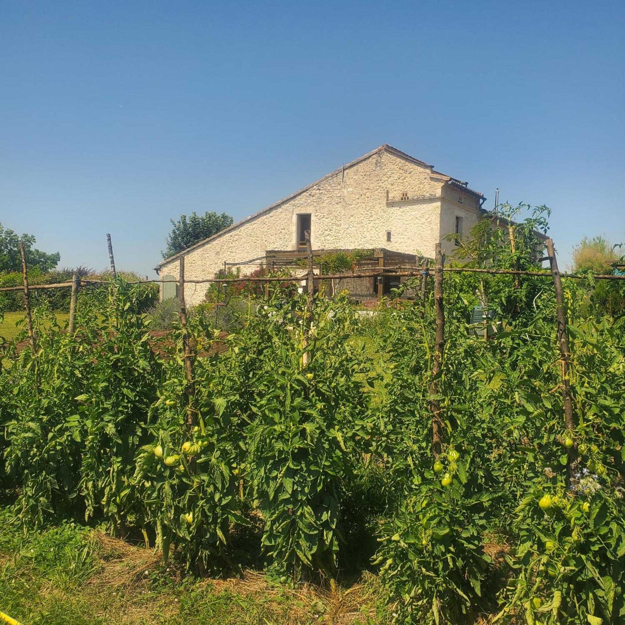 Au Mas De Janita Hotel Cahuzac-sur-Vere Bagian luar foto